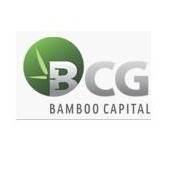 BCG: Thông báo công văn của UBCKNN về việc chấp thuận tạm ho