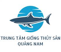 GQN: Công bố thông tin về việc ký hợp đồng kiểm toán BCTC năm 2021