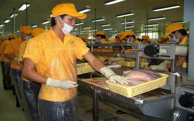 Xuất khẩu thủy sản sẽ cán mốc 8,8 tỷ USD