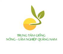 NNQ: Ngày 04/04/2022, ngày hủy ĐKGD cổ phiếu của Công ty cổ phần Giống Nông nghiệp Quảng Nam