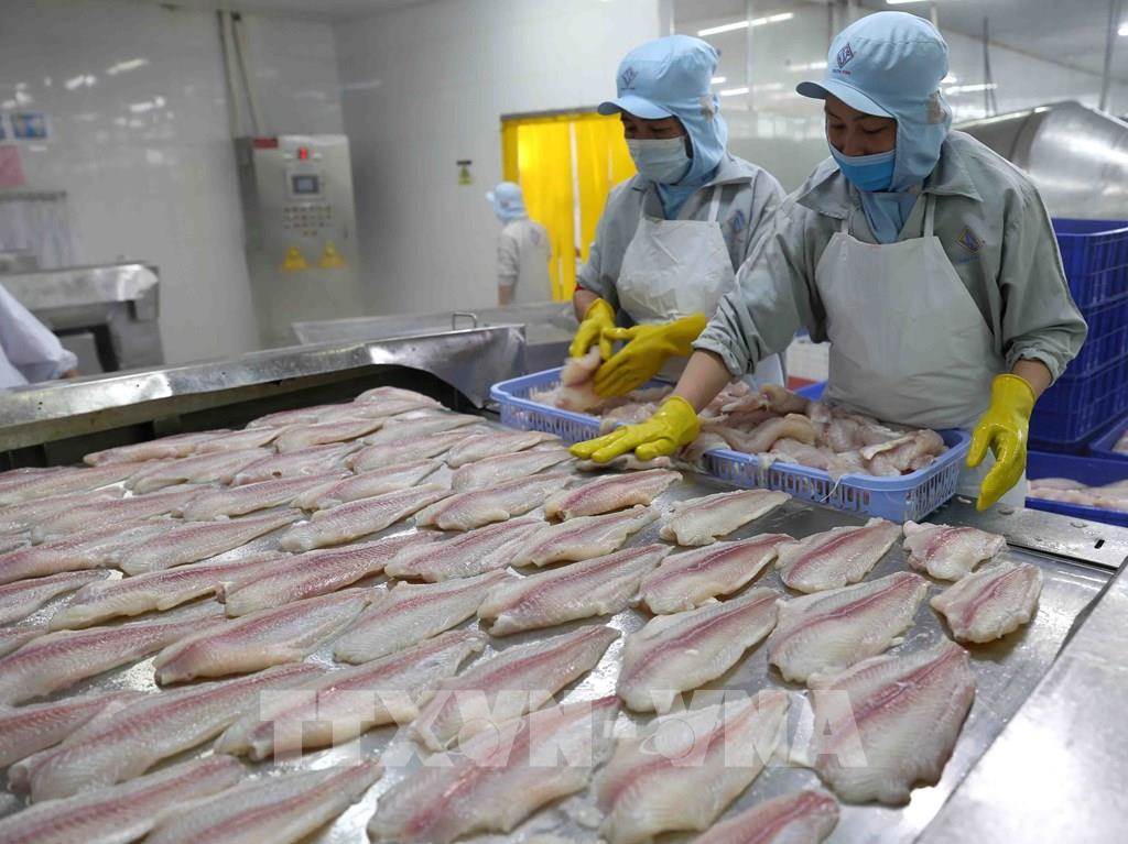 Xuất khẩu thuỷ sản tháng 3/2022 tăng 25%