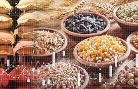 Mất mùa từ Mỹ tới Trung Quốc, nạn đói đe dọa toàn trái đất
