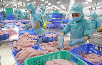 CMX giảm 70% từ đỉnh, một nhà đầu tư nhanh tay gom 11 triệu 