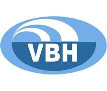 VBH: Báo cáo tài chính năm 2022