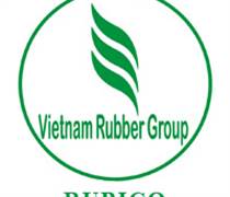 RBC: Tài liệu họp Đại hội đồng cổ đông