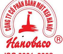 BKH: Quyết định của HĐQT về việc tạm ứng chi cổ tức kỳ I năm 2022 bằng tiền