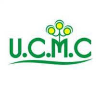 UMC: Báo cáo tài chính năm 2022