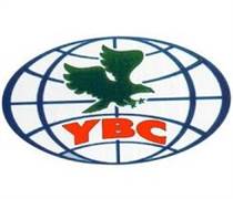 YBC: Báo cáo tài chính năm 2022