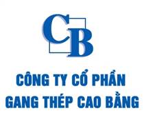 CBI: Nghị quyết Hội đồng quản trị về việc mua bán than cốc với Tổng công ty Khoáng sản - TKV (bên có liên quan)