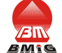 BMG: Báo cáo tài chính năm 2023