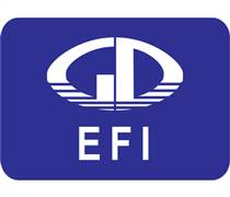 EFI: Thay đổi giấy đăng ký kinh doanh