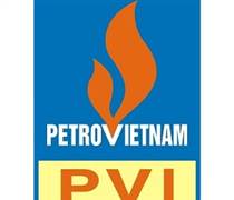 PVI: Thay đổi giấy đăng ký kinh doanh