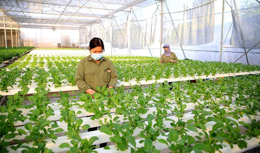 AI NEWS - Nền tảng tin tức chứng khoán