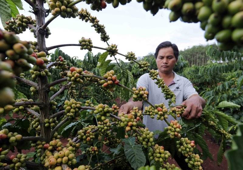 AI NEWS - Nền tảng tin tức chứng khoán