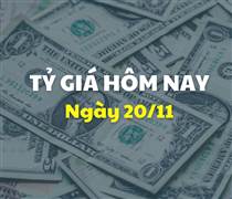 Tỷ giá hôm nay 20/11: Đồng USD và NDT cùng giảm giá