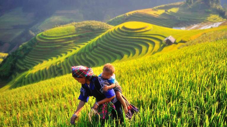 AI NEWS - Nền tảng tin tức chứng khoán