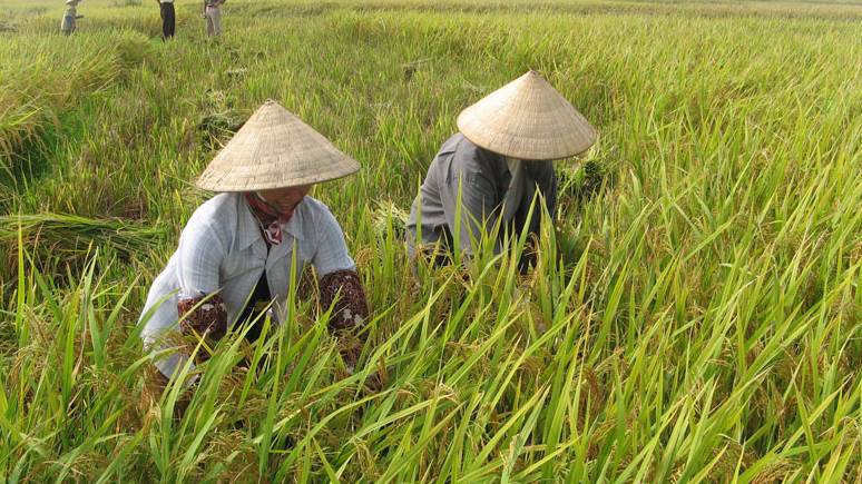 AI NEWS - Nền tảng tin tức chứng khoán