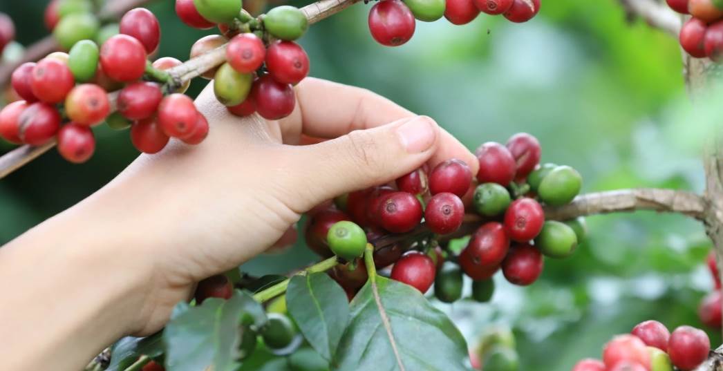 AI NEWS - Nền tảng tin tức chứng khoán