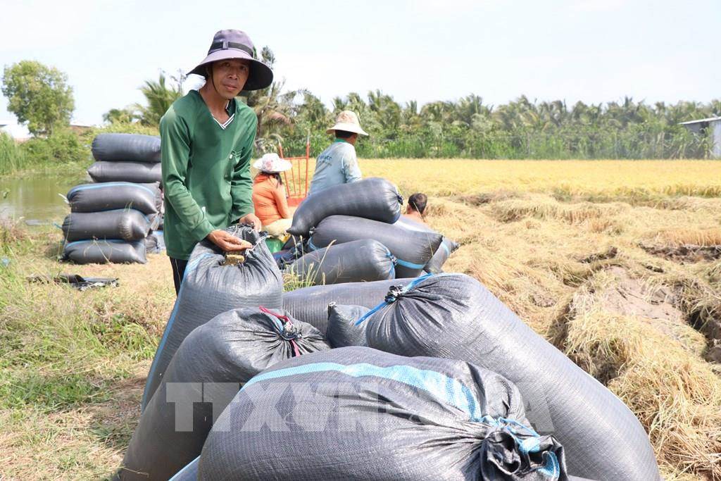 AI NEWS - Nền tảng tin tức chứng khoán