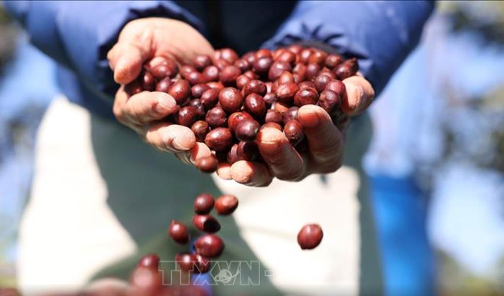 AI NEWS - Nền tảng tin tức chứng khoán