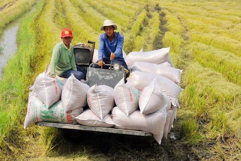 AI NEWS - Nền tảng tin tức chứng khoán