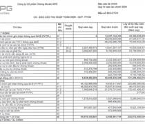 APG: Báo lỗ trước thuế quý IV/2024 hơn 60 tỷ đồng