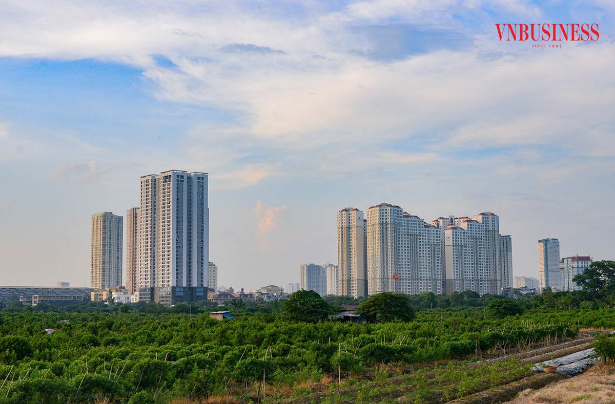 AI NEWS - Nền tảng tin tức chứng khoán