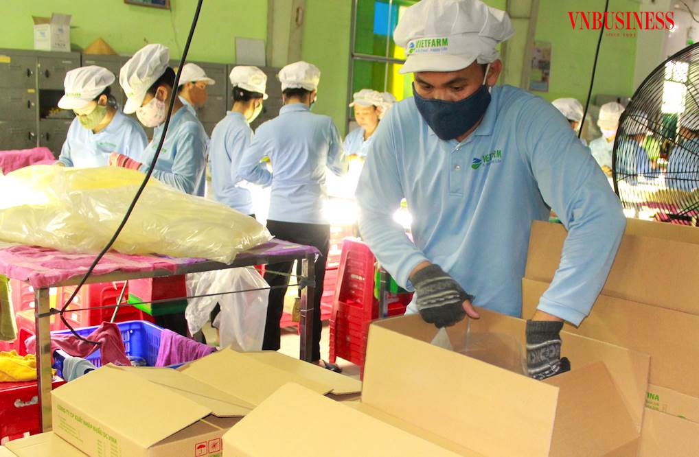 AI NEWS - Nền tảng tin tức chứng khoán