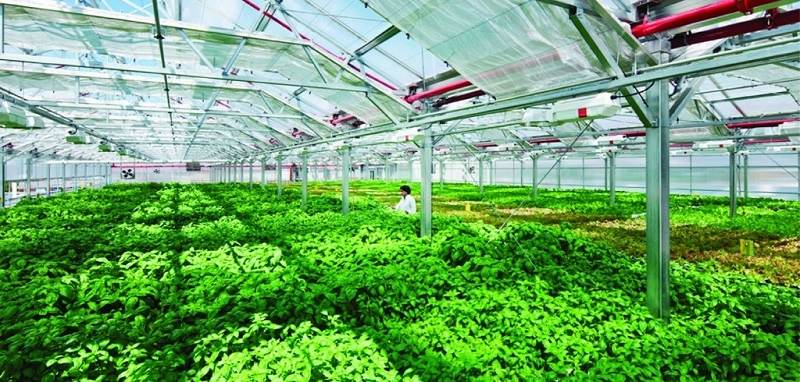 AI NEWS - Nền tảng tin tức chứng khoán