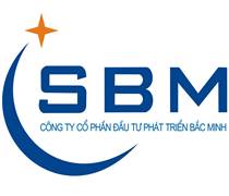 SBM: Báo cáo tài chính năm 2024