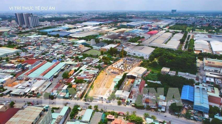 AI NEWS - Nền tảng tin tức chứng khoán