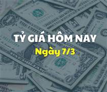 Tỷ giá hôm nay 7/3: Giá USD và NDT tăng, giảm trái chiều