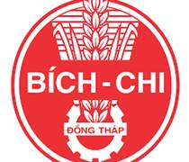 BCF: Báo cáo tài chính năm 2024