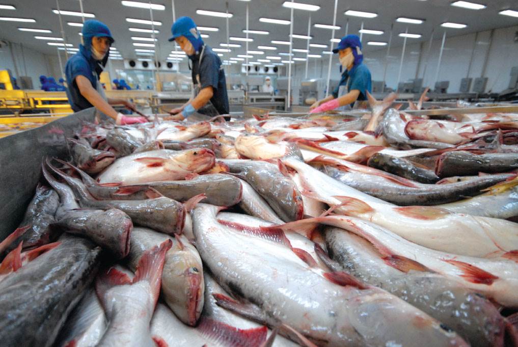 AI NEWS - Nền tảng tin tức chứng khoán