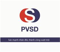 SDP: Thông báo thay đổi mô hình công ty và loại báo cáo tài chính