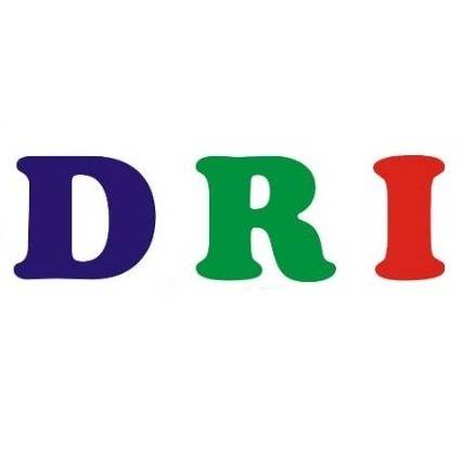 DRI: Báo cáo thường niên 2024