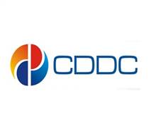 CDO: Báo cáo tài chính năm 2024