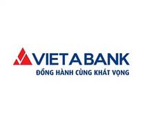 VAB: Báo cáo tài chính quý 1/2025 (công ty mẹ)