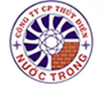 NTH: Báo cáo tài chính quý 1/2025