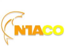 ATA: Báo cáo thường niên 2024