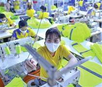 GIL: Cổ phiếu của Gilimex lại tăng hết biên độ