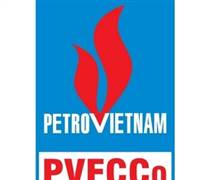 PMB: Báo cáo tài chính quý 1/2025