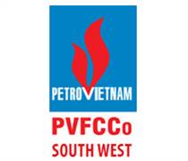 PSW: Báo cáo tài chính quý 1/2025