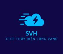 SVH: Báo cáo tài chính quý 1/2025
