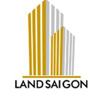 LSG: Báo cáo tài chính quý 1/2025