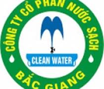 BGW: Báo cáo tài chính quý 1/2025