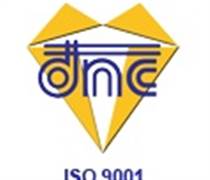 DND: Báo cáo tài chính quý 1/2025