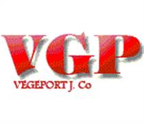 VGP: Báo cáo tài chính quý 1/2025