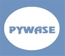 PWS: Báo cáo tài chính quý 1/2025