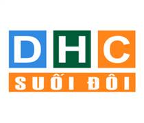 DSD: Báo cáo tài chính quý 1/2025